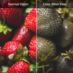 EnChroma Glasses That Help People with Color Blindness