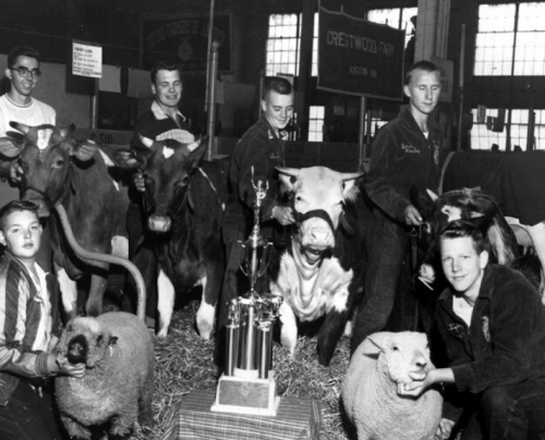 75 Years of the FFA Show at the Minnesota State Fair