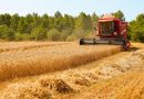 Wheat Productivity and Biodiversity