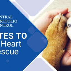 Central Portfolio Control Coco’s Heart Dog Rescue
