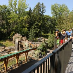 Treetop Trail Minnesota Zoo