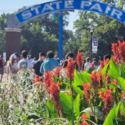 State Fair Attendance and Winners