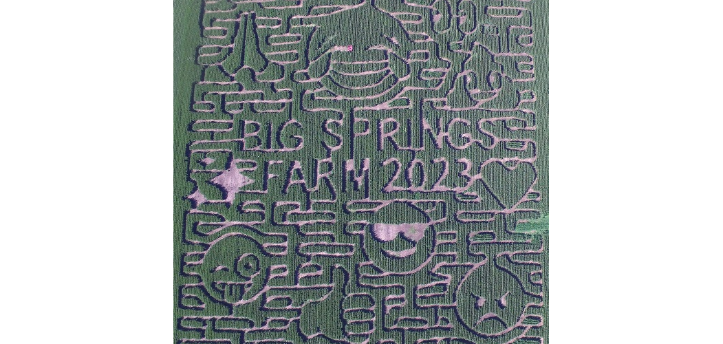 Big Springs Farm Pumpkins & Corn Maze