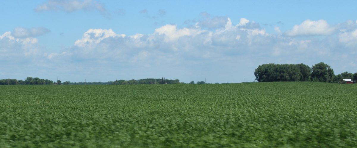 northern-grown soybeans