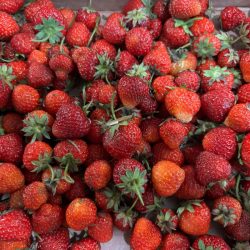 Berry Delicious! Minnesota Grown Berries Usher in Summer